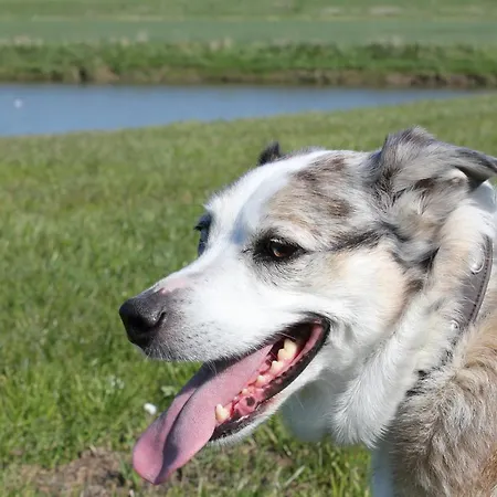 Apartamento Moi Tied Norddeich (Norden)