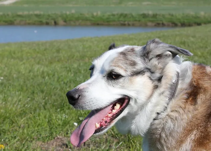 公寓 Moi Tied 诺德代希